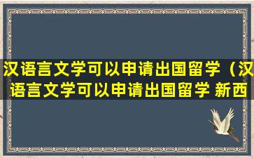 汉语言文学可以申请出国留学（汉语言文学可以申请出国留学 新西兰）